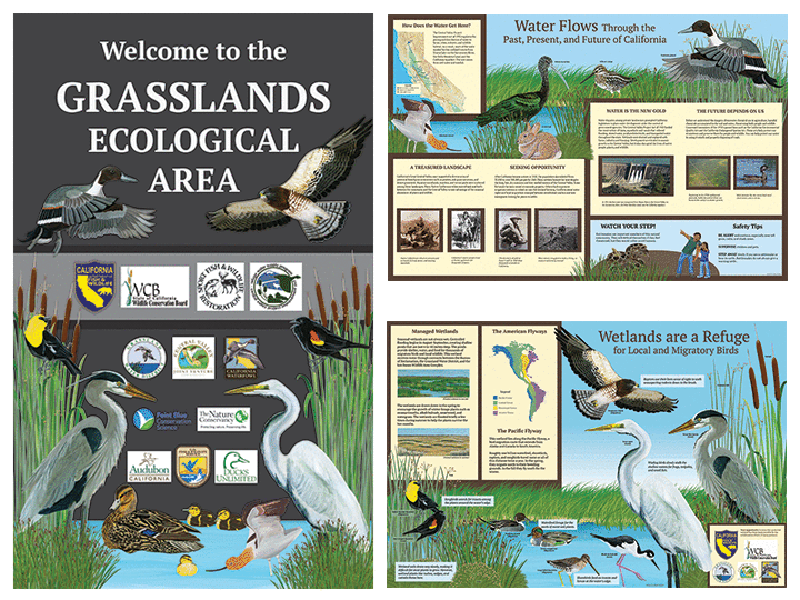 GadwallSigns-Web-final