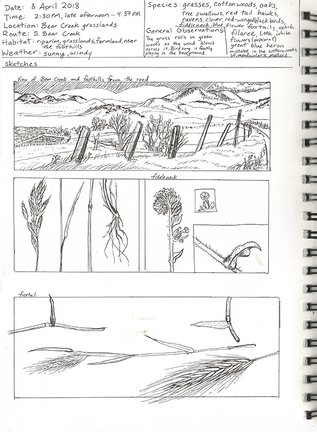 Journal-BearCreek-8April2018-72ppi