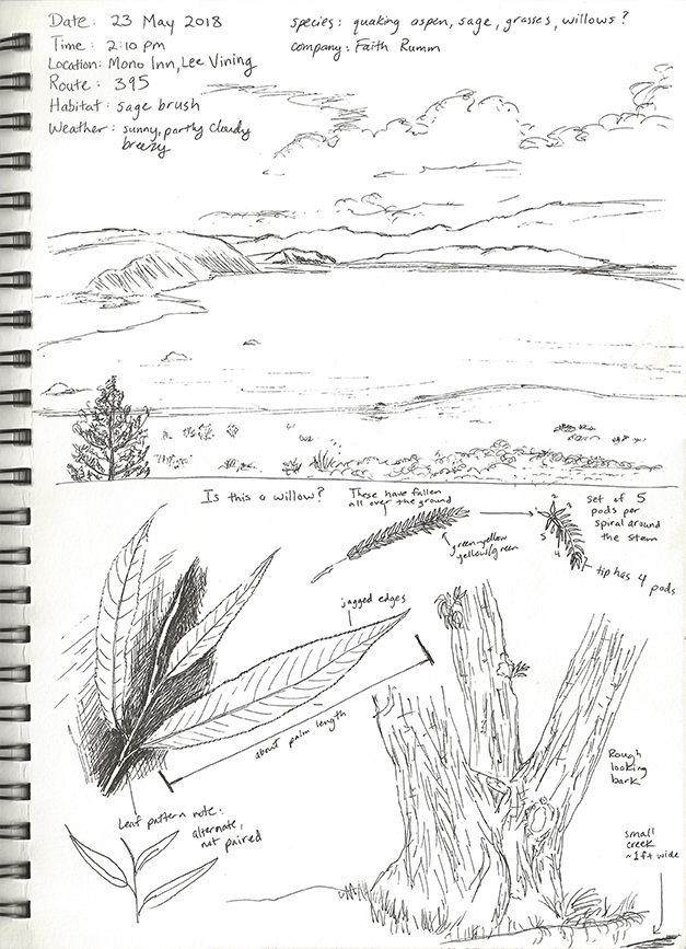 Journal-MonoLake-23May2018-72ppi