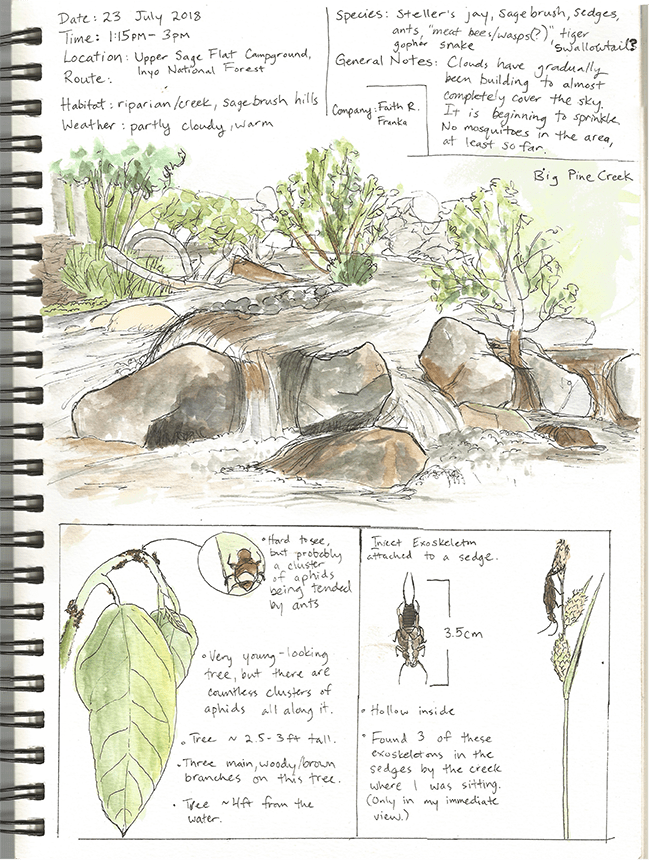 NatureJournal_Example23July2018_72ppi